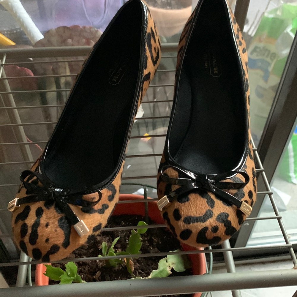 Coach shoes animal print